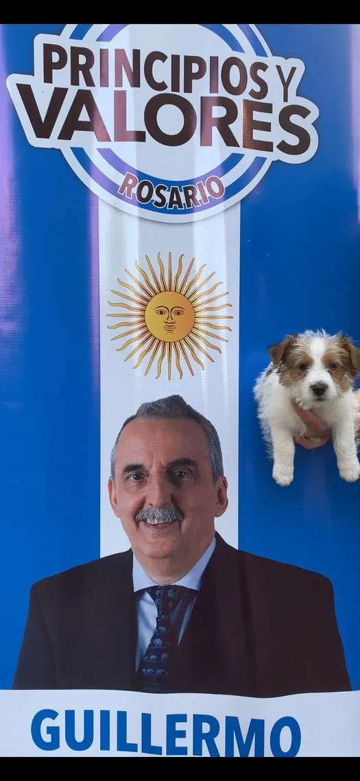 Actividad 7